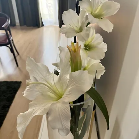 Vigne Et Mer-spacieux Haussmannien-2chambres-wifi 公寓 *
