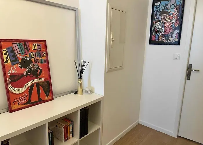 Apartmán Vigne Et Mer-spacieux Haussmannien-2chambres-wifi Béziers